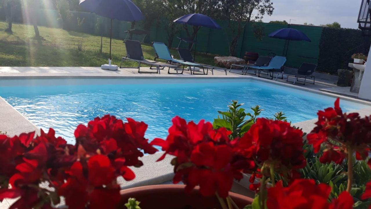 Holiday Home Dioniza 沃德年 外观 照片